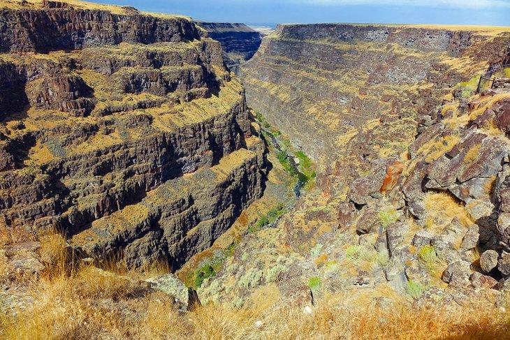 Cañón del río Bruneau