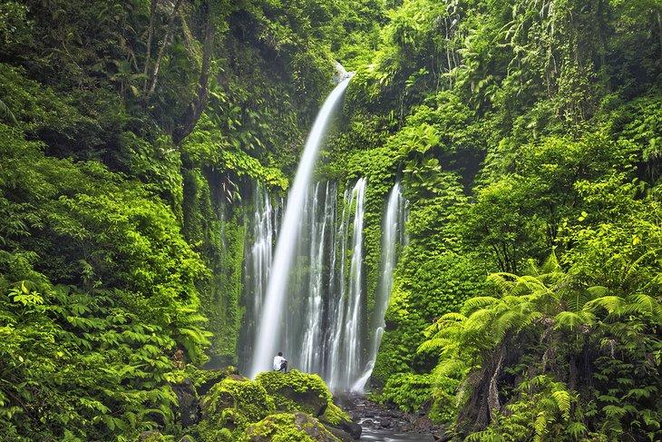 Chutes d'eau Air Terjun Tiu Kelep près du mont Rinjani, Lombok