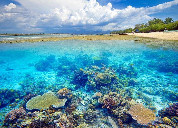 Bel récif de corail sur Gili Trawangan