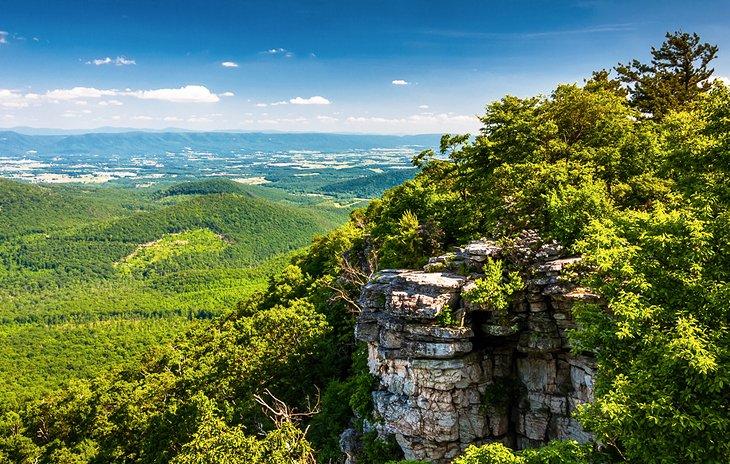 Bosque Nacional George Washington