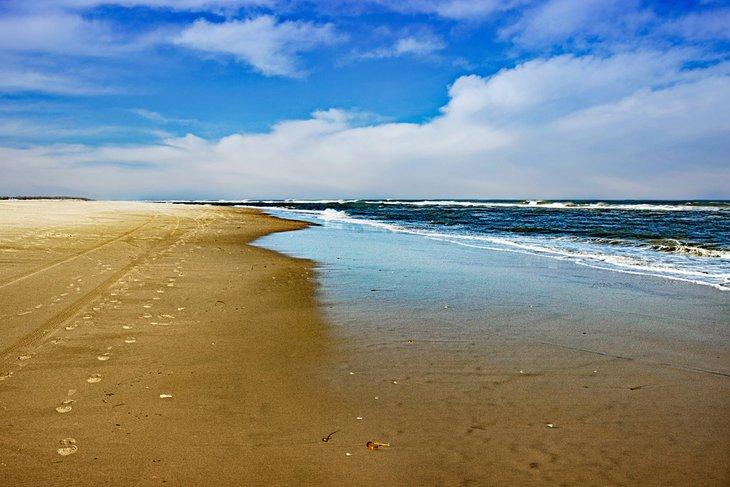 Playa desierta en la Isla Chincoteague