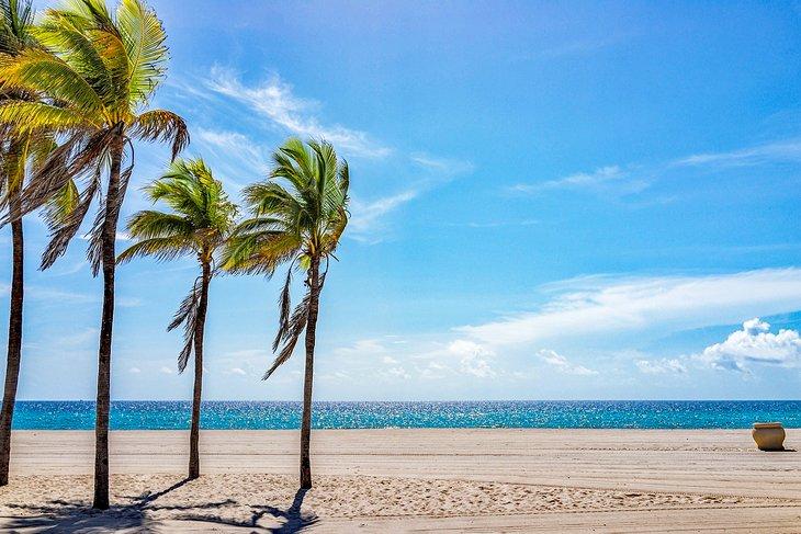 Parc de la plage nord d'Hollywood