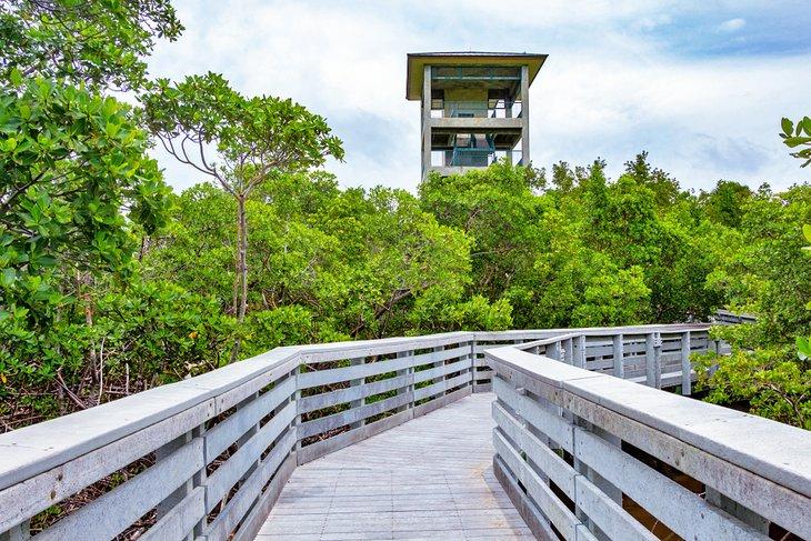 Tour d'observation au Parc West Lake