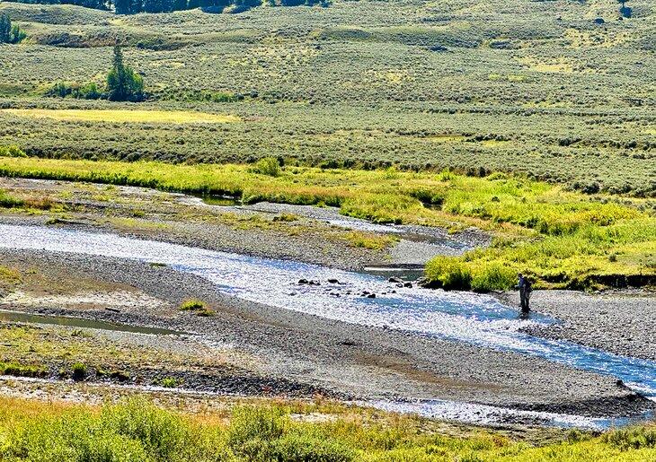 Soda Butte Creek dans le parc national de Yellowstone 