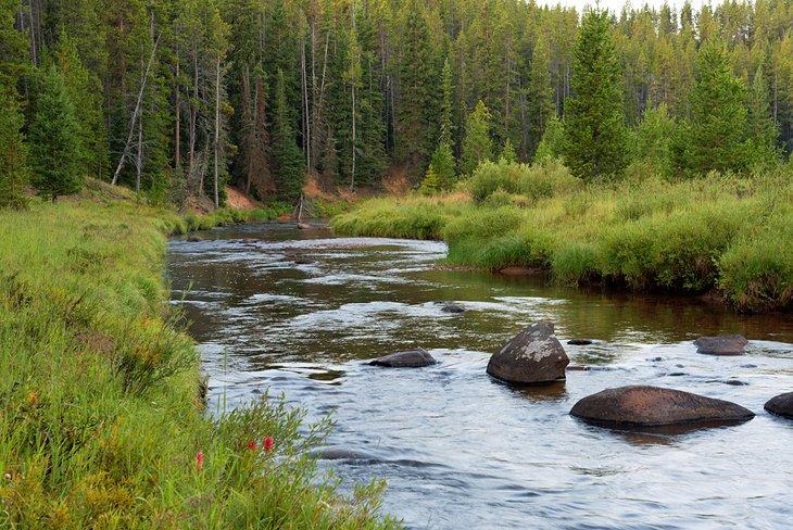 Rivière Tongue, Bighorn Mountains