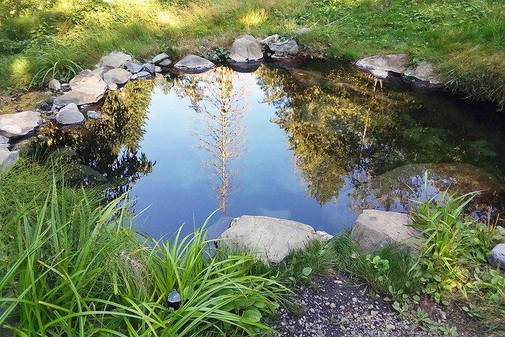 Termas Olímpicas