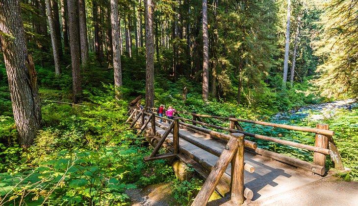 Un puente con vista a las Cascadas de Sol Duc, cerca del Resort de Termas de Sol Duc