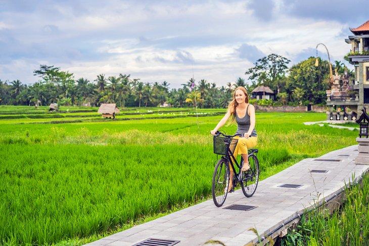 Fahren durch Reisfelder in Bali