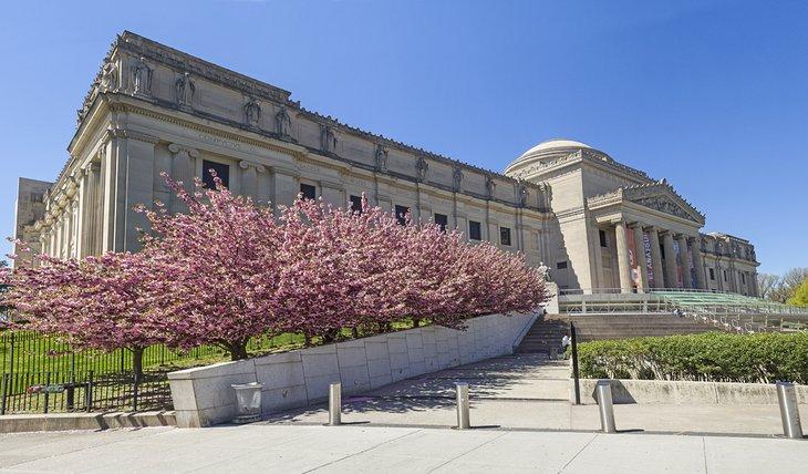 Árboles de cerezo floreciendo frente al Museo de Brooklyn