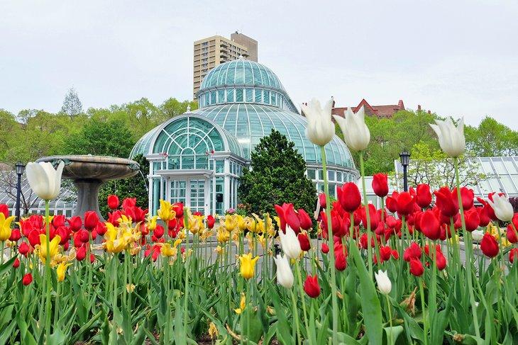 Jardín Botánico de Brooklyn