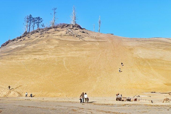 Duna en Cape Kiwanda