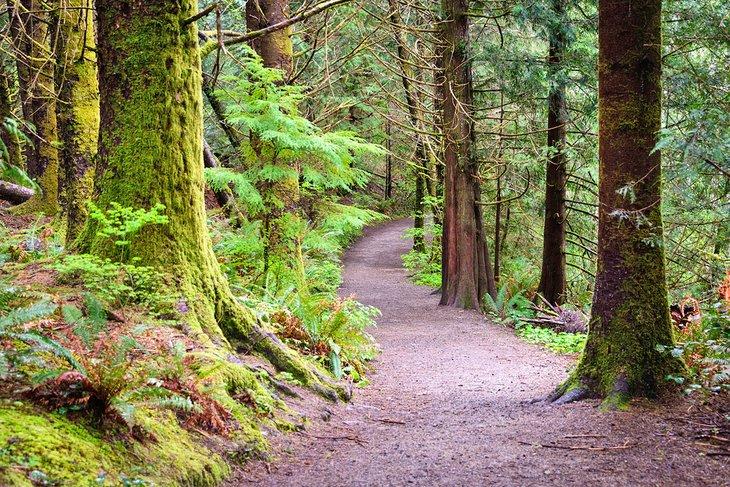 Sendero de Fort to Sea, Fort Clatsop