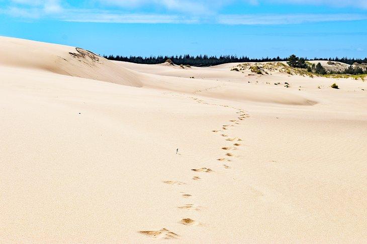 Huellas a través de las dunas a lo largo del Sendero John Dellenback
