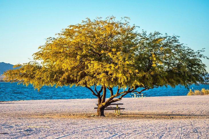 Parque Estatal Lake Havasu