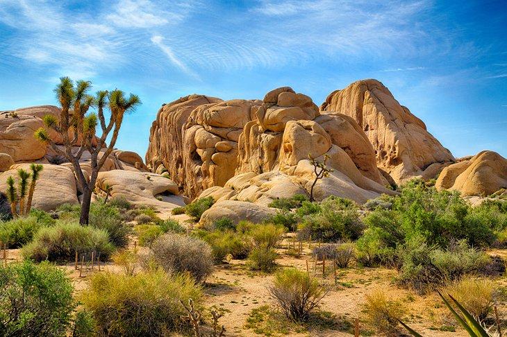 Parque Nacional Joshua Tree