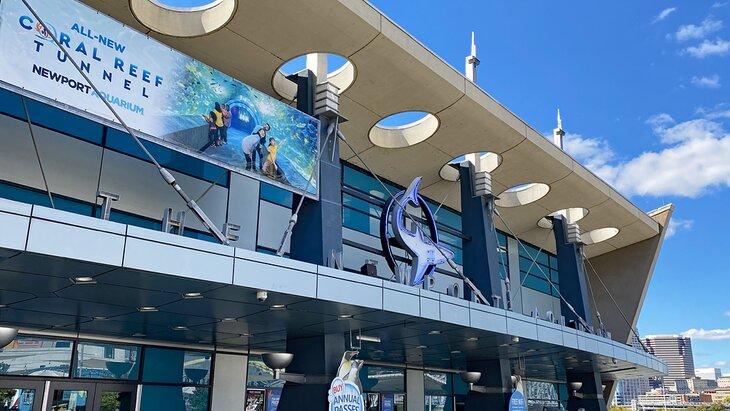 Acuario de Newport