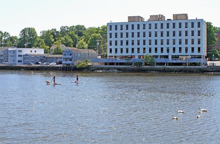 Paddleboarding en Westport