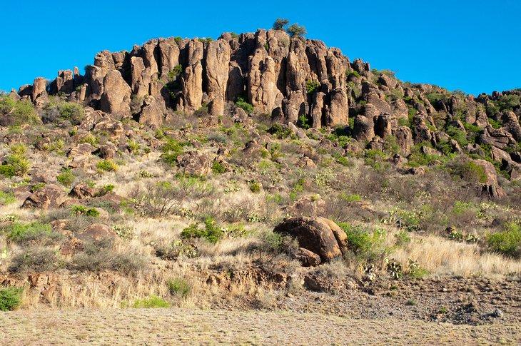 Parque Estatal Davis Mountains
