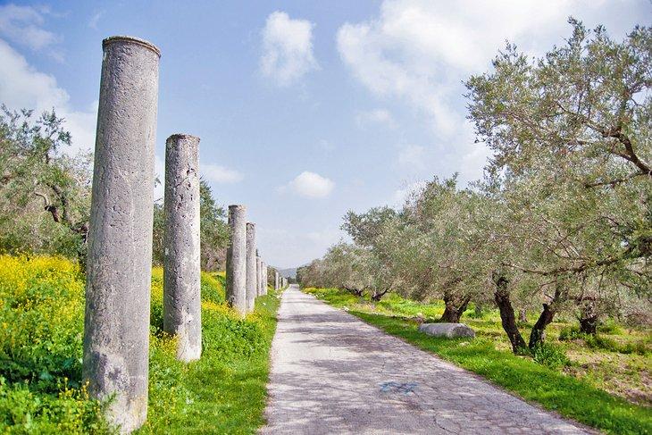 Sebastiya (Altes Samarien)