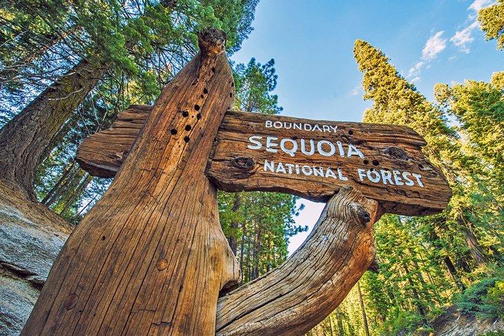 Sequoia National Forest