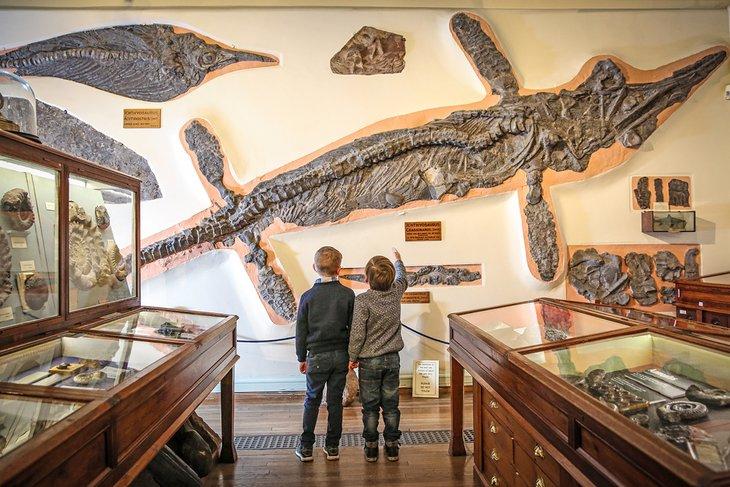 Niños mirando un Ictiosaurio en el Museo de Whitby