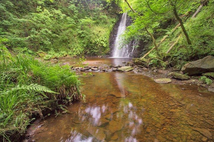 Cascada Falling Foss