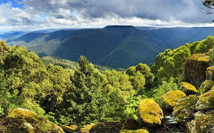 Barrington Tops Nationalpark