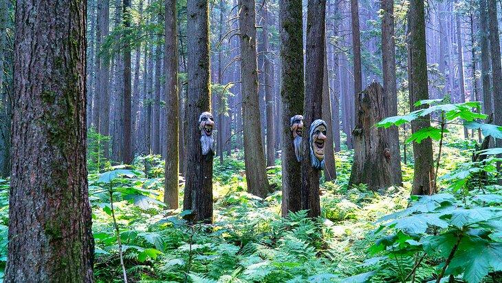Verwunschener Wald