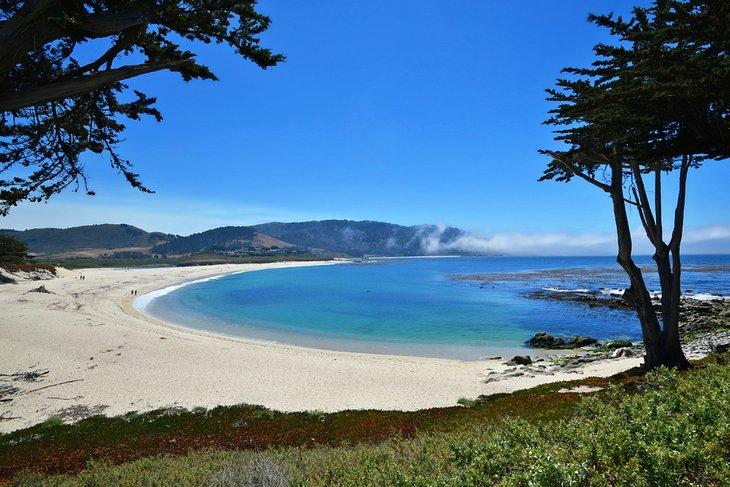 Vue sur la Plage de Carmel River State