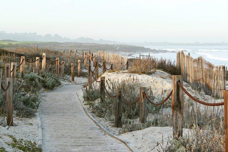 Plage d'Asilomar