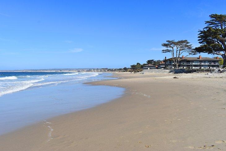 Plage d'État de Del Monte | Photo Copyright: Brad Lane