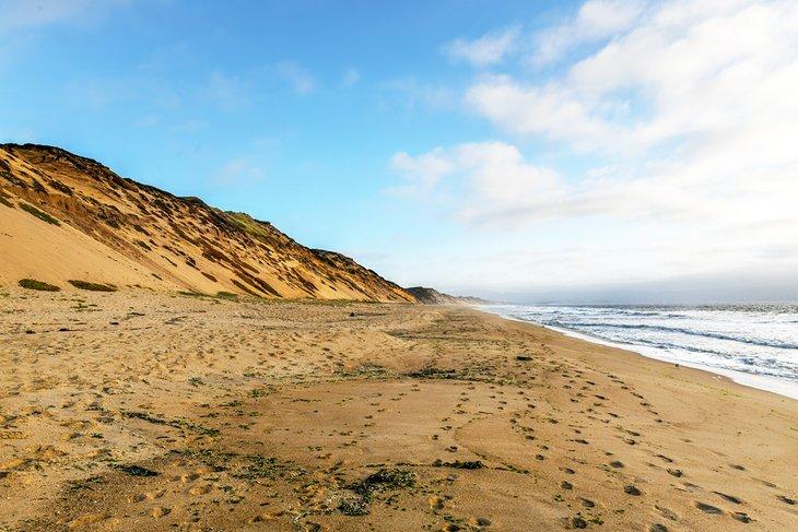 Parc d'État de Fort Ord Dunes