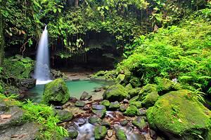 Cosas que Hacer en Dominica