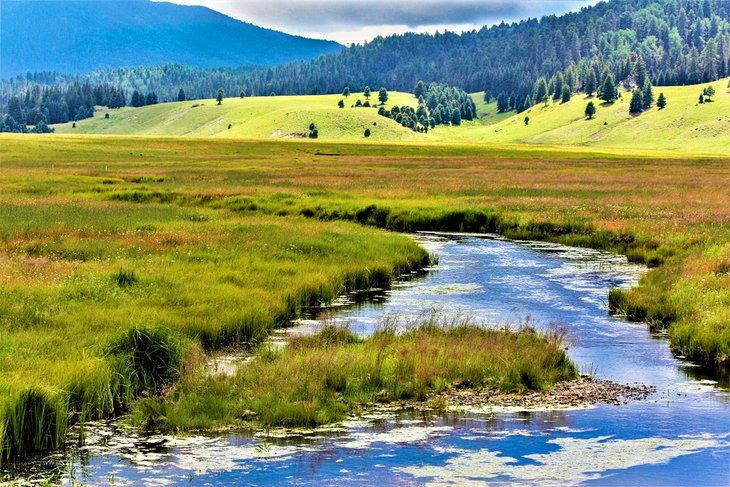 Réserve Nationale de Valles Caldera