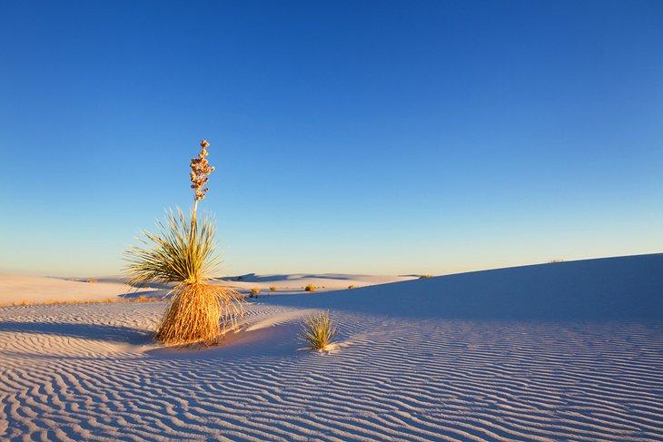 Monument National des White Sands