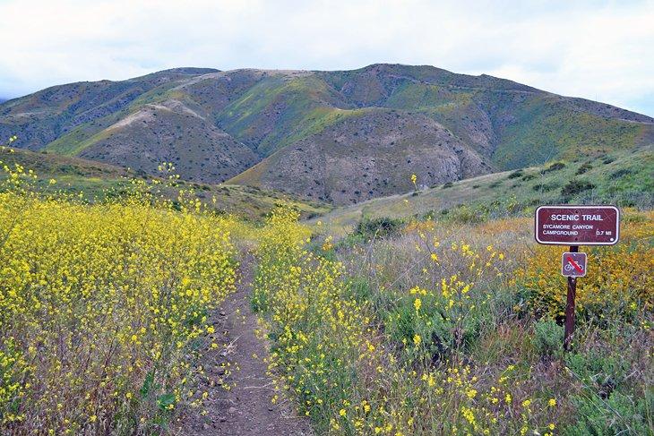 Área Recreativa Nacional de las Montañas de Santa Mónica