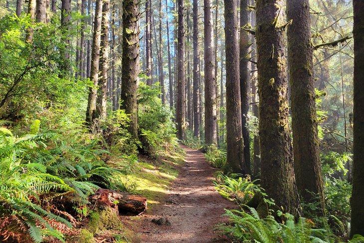 Parque Estatal Prairie Creek Redwoods