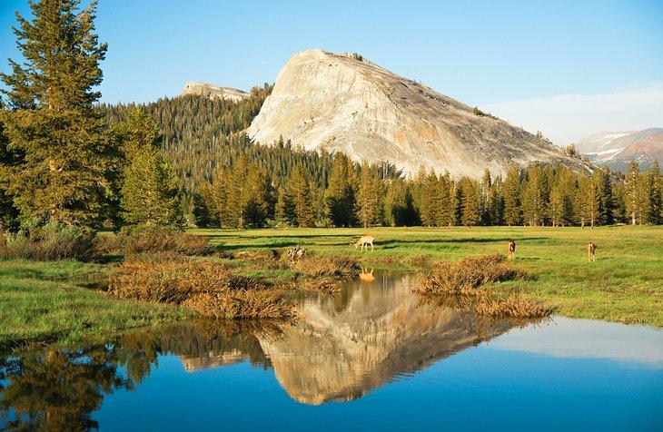 Tuolumne Meadows, Parque Nacional Yosemite