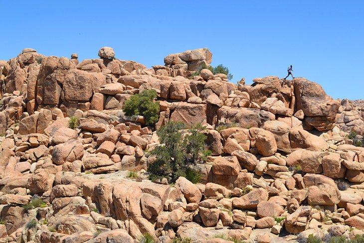 Parque Nacional Joshua Tree