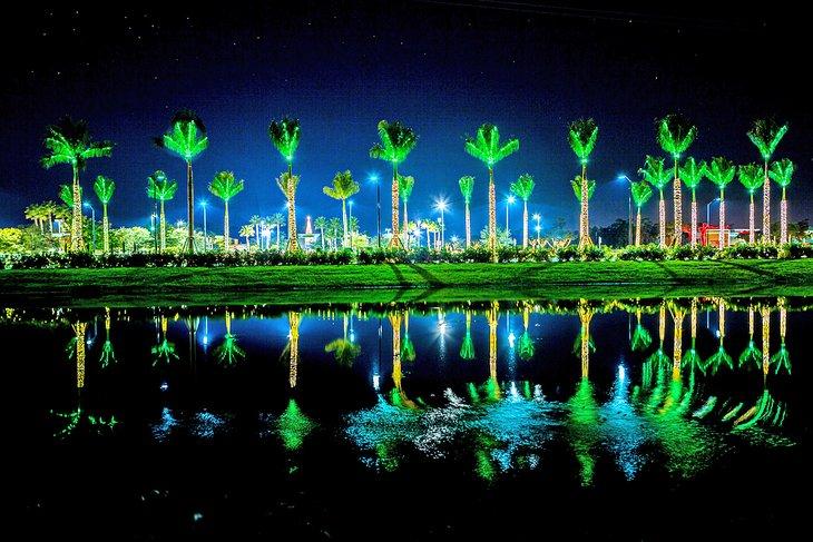 Palmeras navideñas festivas en Sarasota