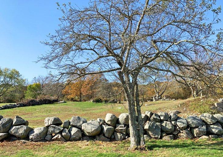 Un joli mur de pierre au Haley Farm State Park