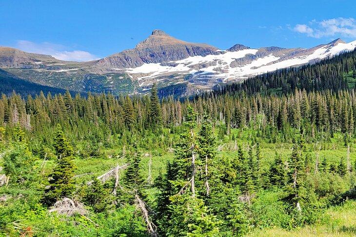 Glacier-Nationalpark, Montana