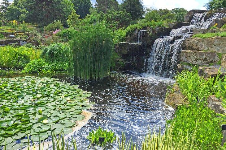 Cascada en los Jardines de Kew