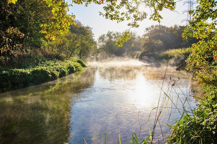 Río Wandle en la madrugada