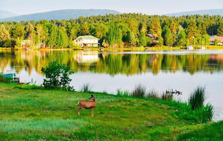 Escena idílica de lago en Pagosa Springs, Colorado