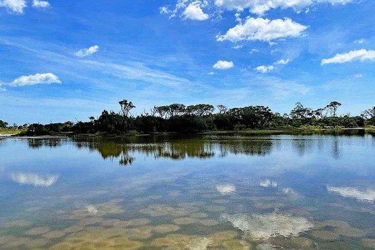 Parque Estatal Little Talbot Island