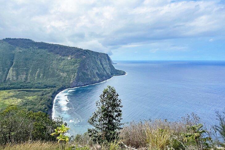 Point de vue de la Vallée Waipio