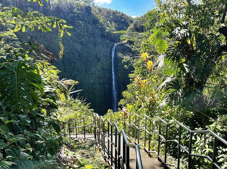 Sentier vers les Chutes Akaka