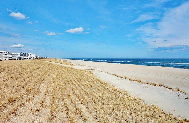 Isla de Long Beach