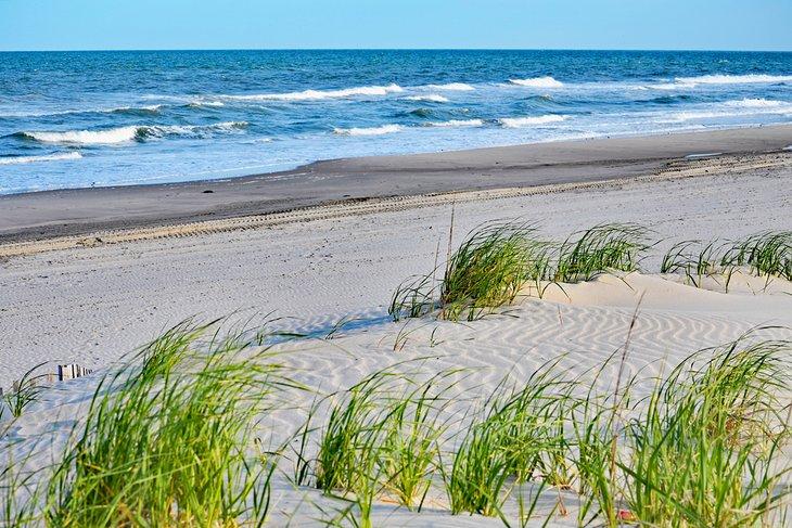 Playa de Stone Harbor